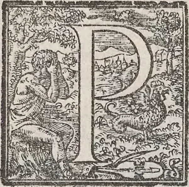 An illustration from Aquatilium animalium historiae, liber primus : cum eorumdem formis, aere excusis, 1554, leaf 461