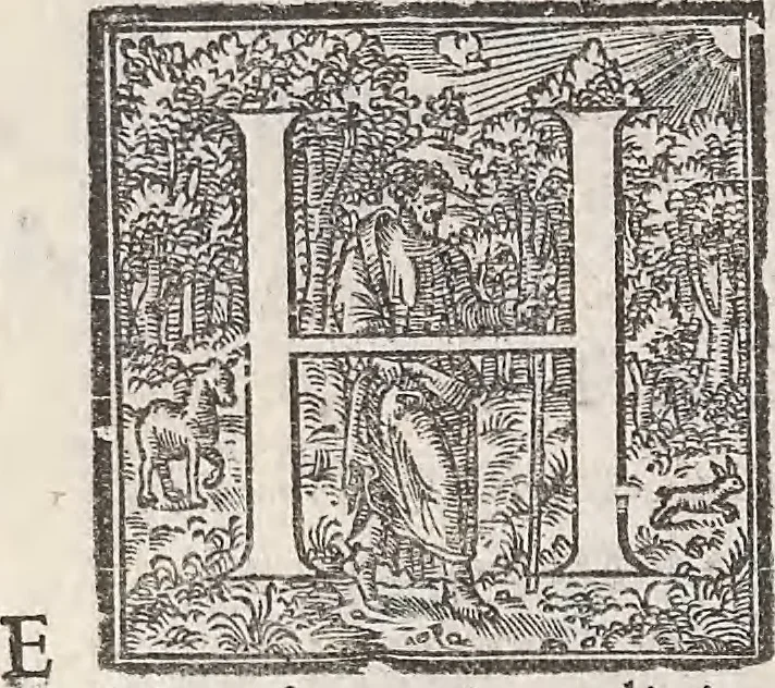An illustration from Aquatilium animalium historiae, liber primus : cum eorumdem formis, aere excusis, 1554, leaf 465