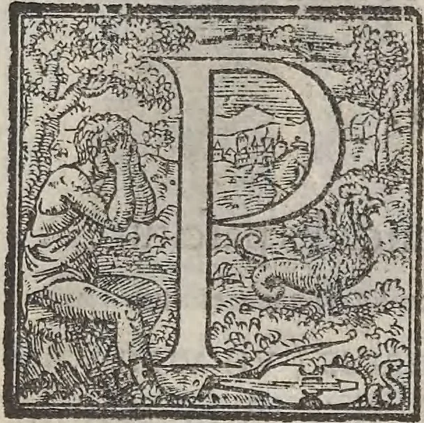 An illustration from Aquatilium animalium historiae, liber primus : cum eorumdem formis, aere excusis, 1554, leaf 468