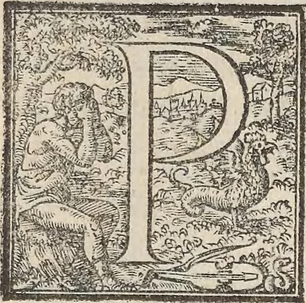 An illustration from Aquatilium animalium historiae, liber primus : cum eorumdem formis, aere excusis, 1554, leaf 474
