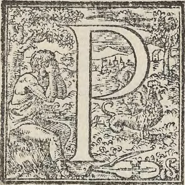 An illustration from Aquatilium animalium historiae, liber primus : cum eorumdem formis, aere excusis, 1554, leaf 486