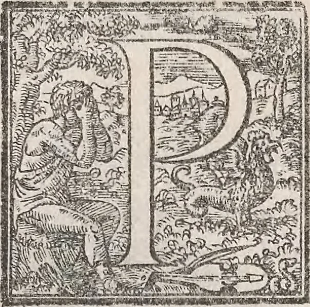 An illustration from Aquatilium animalium historiae, liber primus : cum eorumdem formis, aere excusis, 1554, leaf 489