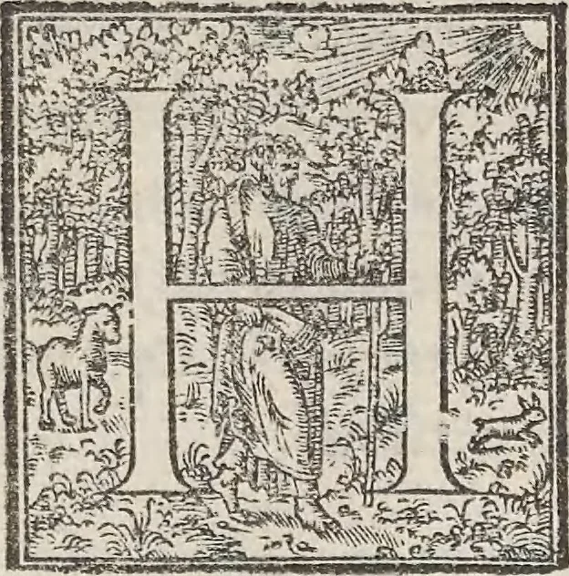 An illustration from Aquatilium animalium historiae, liber primus : cum eorumdem formis, aere excusis, 1554, leaf 496