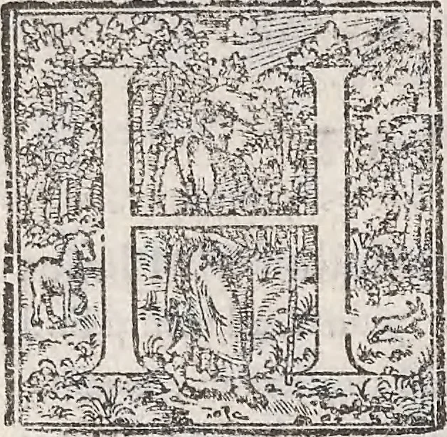 An illustration from Aquatilium animalium historiae, liber primus : cum eorumdem formis, aere excusis, 1554, leaf 503