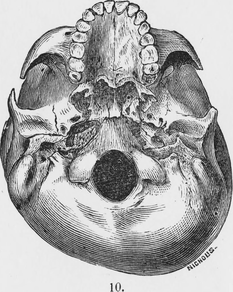 An illustration from Archaeological pamphlets, 1880, leaf 160