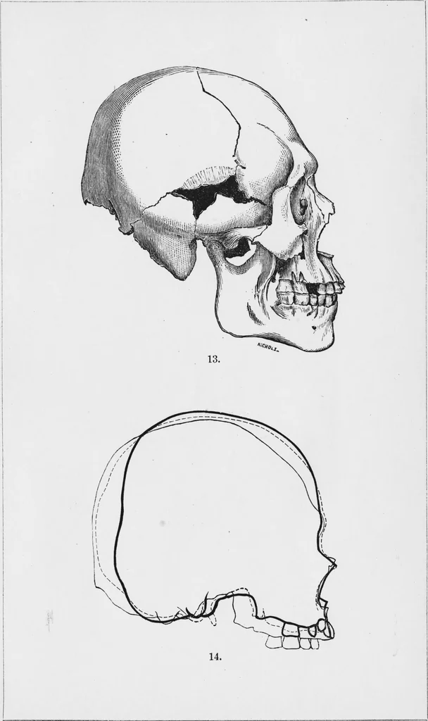 An illustration from Archaeological pamphlets, 1880, leaf 164