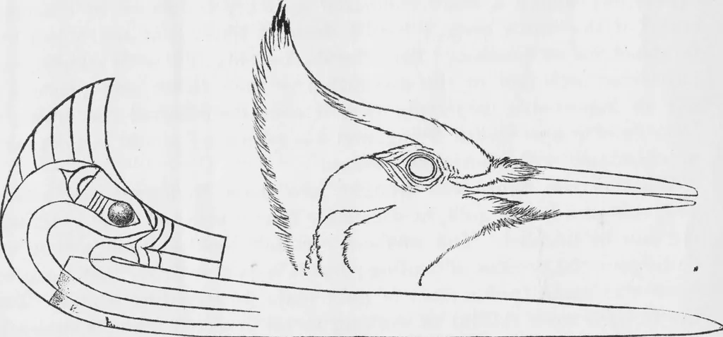 An illustration from Archaeological pamphlets, 1880, leaf 229