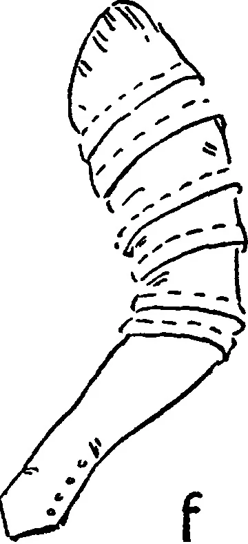 An illustration from Art in dress, with notes on home decoration, 1916, leaf 17