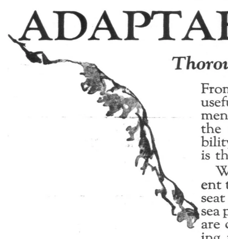 An illustration from Aviation Week 1924-01-21, 1924, leaf 14