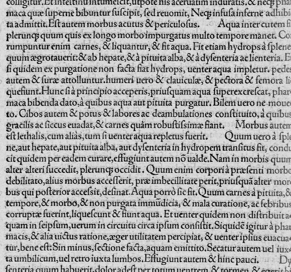 An illustration from Opera omnia / per Janum Cornarium ... latina lingua conscripta, 1546, leaf 259