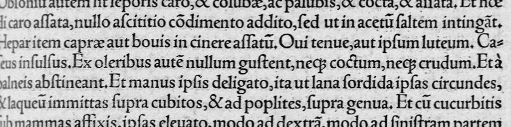 An illustration from Opera omnia / per Janum Cornarium ... latina lingua conscripta, 1546, leaf 360