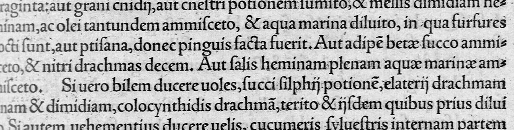 An illustration from Opera omnia / per Janum Cornarium ... latina lingua conscripta, 1546, leaf 394