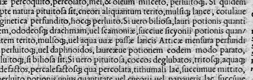 An illustration from Volumina / per Fabium Calvum latinitate donata, 1525, leaf 164