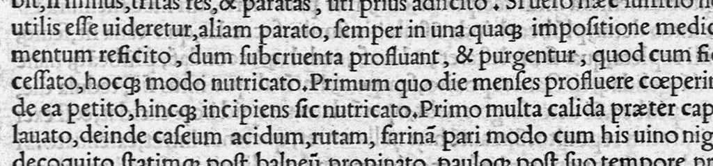 An illustration from Volumina / per Fabium Calvum latinitate donata, 1525, leaf 245
