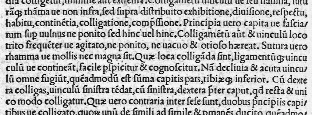 An illustration from Volumina / per Fabium Calvum latinitate donata, 1525, leaf 681