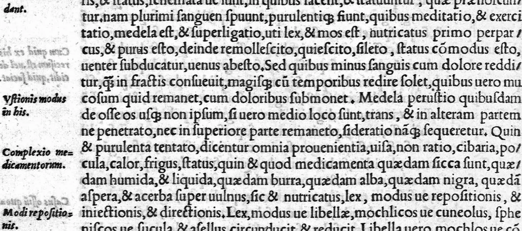 An illustration from Volumina / per Fabium Calvum latinitate donata, 1525, leaf 735