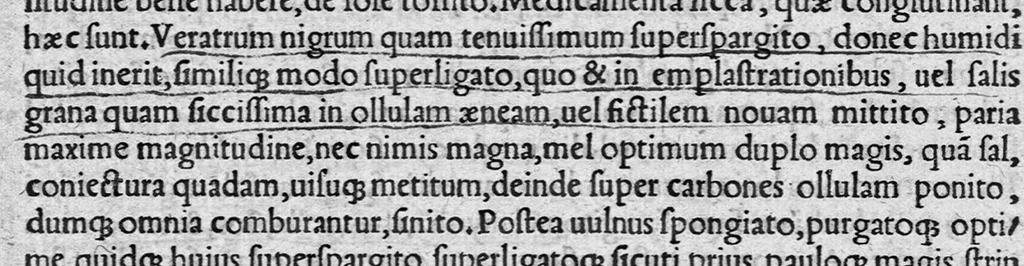 An illustration from Volumina / per Fabium Calvum latinitate donata, 1525, leaf 757
