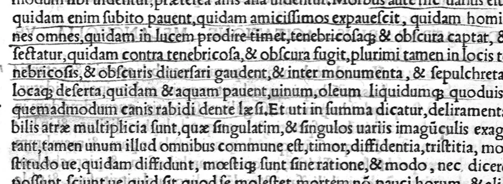 An illustration from Volumina / per Fabium Calvum latinitate donata, 1525, leaf 767