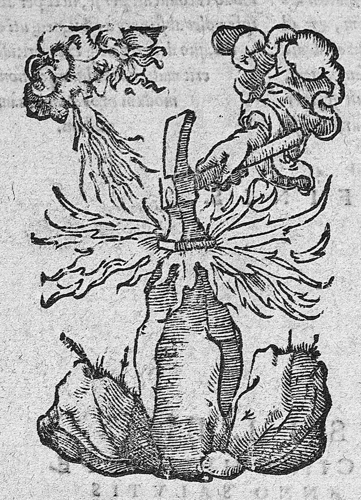An illustration from Hieronymi Cardani in Hippocratis Coi, prognostica... atque etiam in Galeni prognosticorum expositionem commentarii absolutissimi. Item in libros Hippocratis de septimestri et octomestri partu et simul in eorum Galeni commentaria Cardani commentarii. Item pro gravissime diversis morbis laborantibus consilia septem Hieronymi Cardani,... nunc primum edita..., 1568, leaf 399