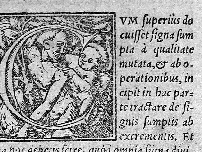 An illustration from Hieronymi Cardani in Hippocratis Coi, prognostica... atque etiam in Galeni prognosticorum expositionem commentarii absolutissimi. Item in libros Hippocratis de septimestri et octomestri partu et simul in eorum Galeni commentaria Cardani commentarii. Item pro gravissime diversis morbis laborantibus consilia septem Hieronymi Cardani,... nunc primum edita..., 1568, leaf 86