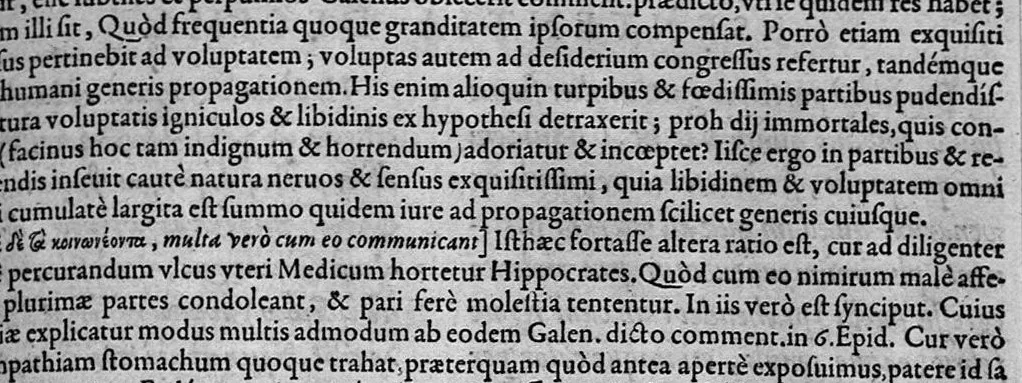 An illustration from Hippocratis coi, medicorum principis Liber prior de morbis mulierum ... Mauricio Cordaeo Rhemo interprete & explicatore, 1585, leaf 196