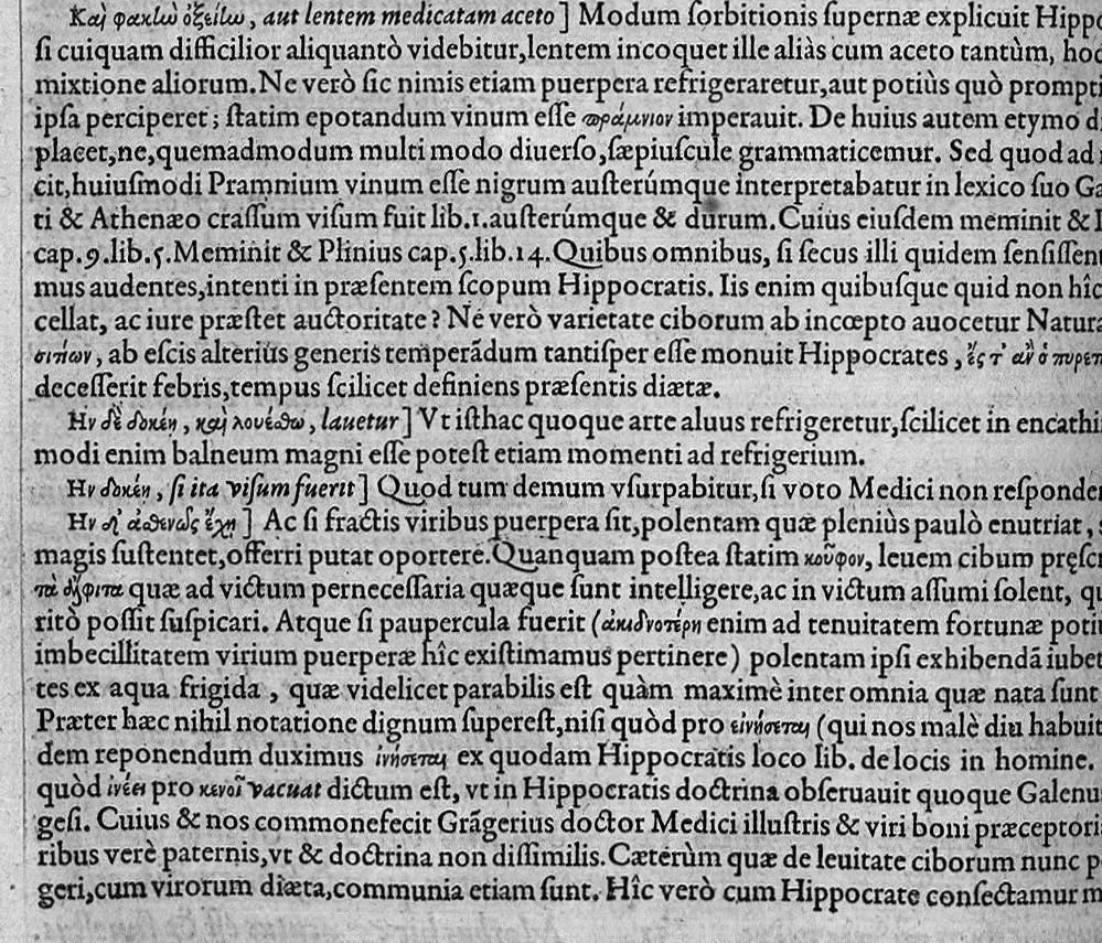 An illustration from Hippocratis coi, medicorum principis Liber prior de morbis mulierum ... Mauricio Cordaeo Rhemo interprete & explicatore, 1585, leaf 219