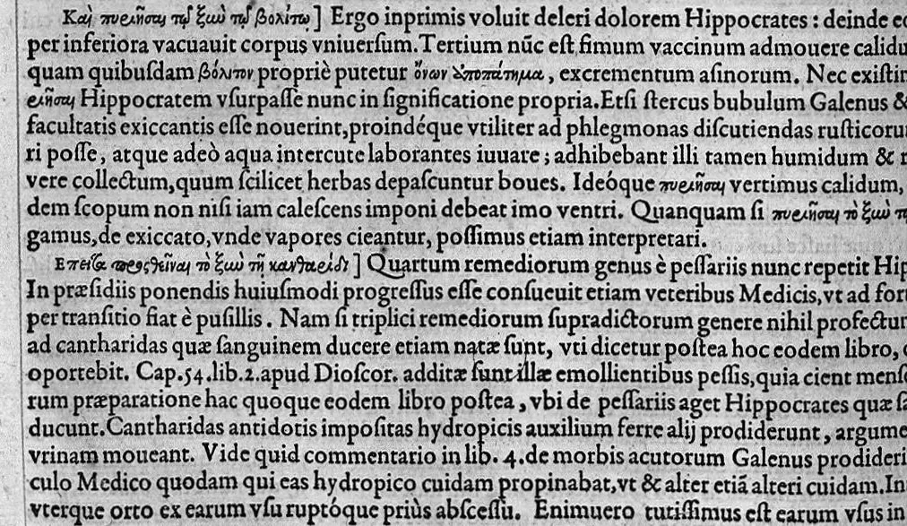 An illustration from Hippocratis coi, medicorum principis Liber prior de morbis mulierum ... Mauricio Cordaeo Rhemo interprete & explicatore, 1585, leaf 231