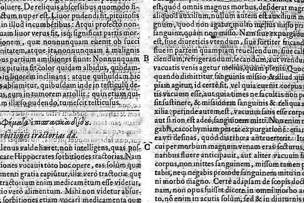 An illustration from Francisci Vallesii... in Aphorismos Hippocratis Commentarii VII... nunc iterum Ioan. Petri Ayroldi Marcelliani opera & industria fidelius elegantiusque editi..., 1589, leaf 278