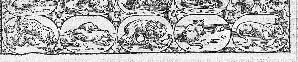 An illustration from Galeni omnia quae extant opera / vol. 1- Isagogici libri, 1565, leaf 37