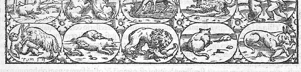 An illustration from Galeni omnia quae extant opera / vol. 2- Primae classis libri, 1565, leaf 124