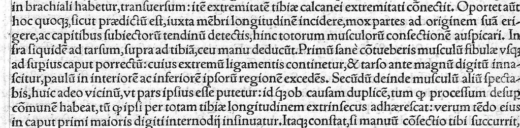 An illustration from Galeni omnia quae extant opera / vol. 2- Primae classis libri, 1565, leaf 141