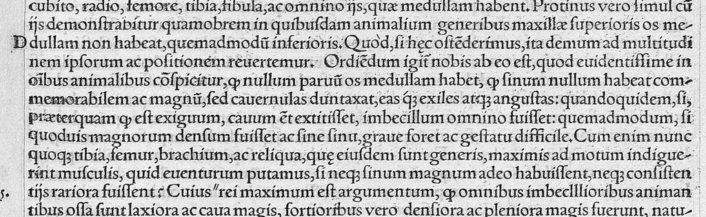 An illustration from Galeni omnia quae extant opera / vol. 2- Primae classis libri, 1565, leaf 380