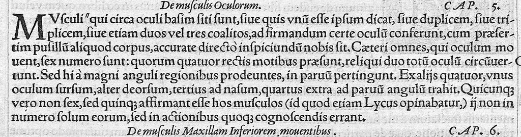 An illustration from Galeni omnia quae extant opera / vol. 2- Primae classis libri, 1565, leaf 87