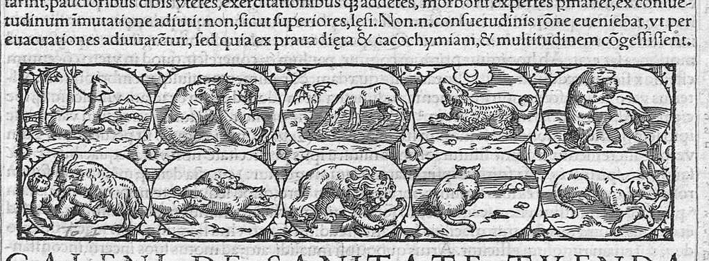 An illustration from Galeni omnia quae extant opera / vol. 3- Secundae classis libri, 1565, leaf 122