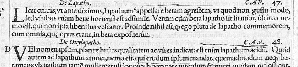 An illustration from Galeni omnia quae extant opera / vol. 3- Secundae classis libri, 1565, leaf 44