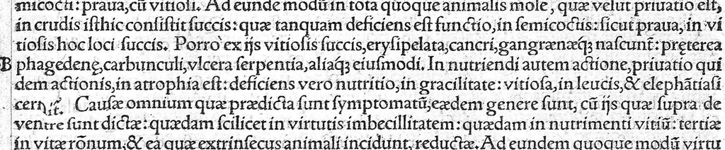 An illustration from Galeni omnia quae extant opera / vol. 4- Tertiae classis libri, 1565, leaf 48