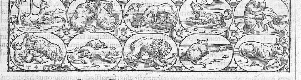An illustration from Galeni omnia quae extant opera / vol. 7- Sextae classis libri, 1565, leaf 8