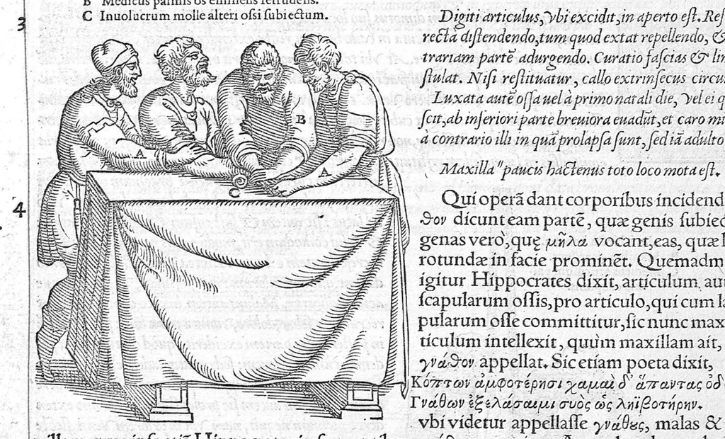 An illustration from Galeni omnia quae extant opera / vol. 8- Septimae classis libri, 1565, leaf 531