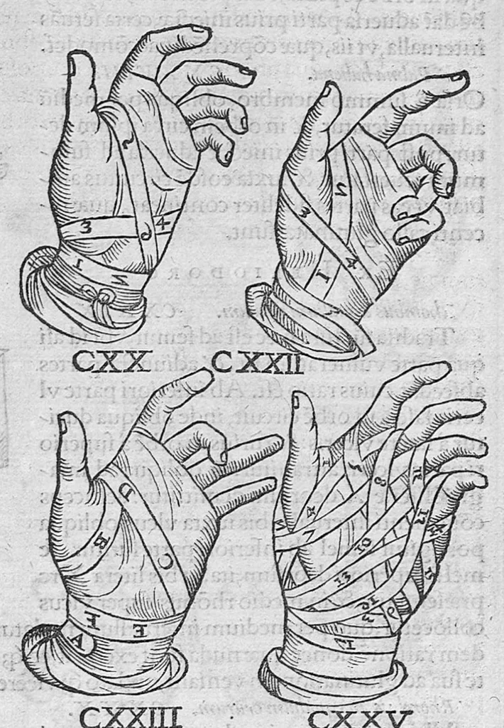 An illustration from Galeni omnia quae extant opera / vol. 8- Septimae classis libri, 1565, leaf 616