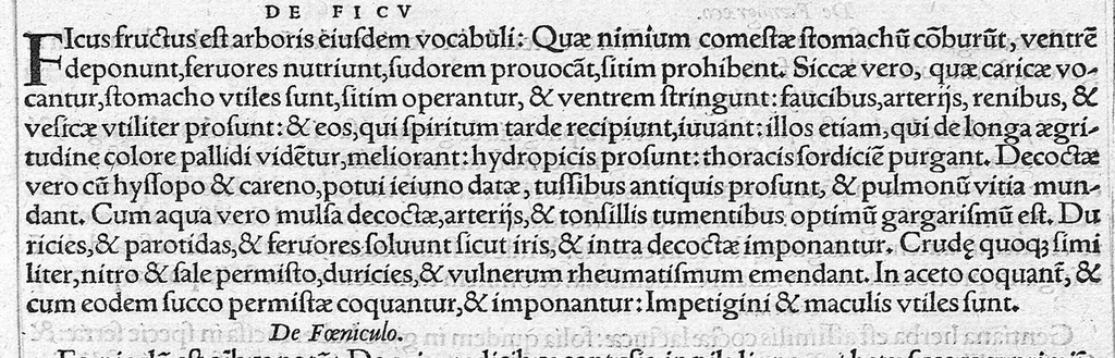 An illustration from Galeni omnia quae extant opera / vol. 10- Ascripti libri, 1565, leaf 172