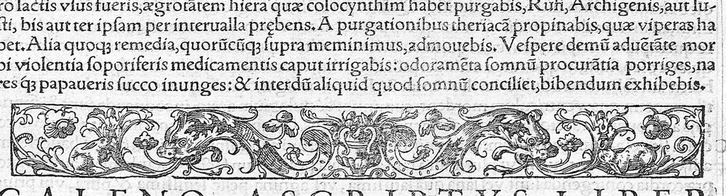 An illustration from Galeni omnia quae extant opera / vol. 10- Ascripti libri, 1565, leaf 225