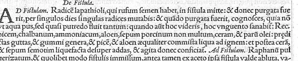 An illustration from Galeni omnia quae extant opera / vol. 10- Ascripti libri, 1565, leaf 62