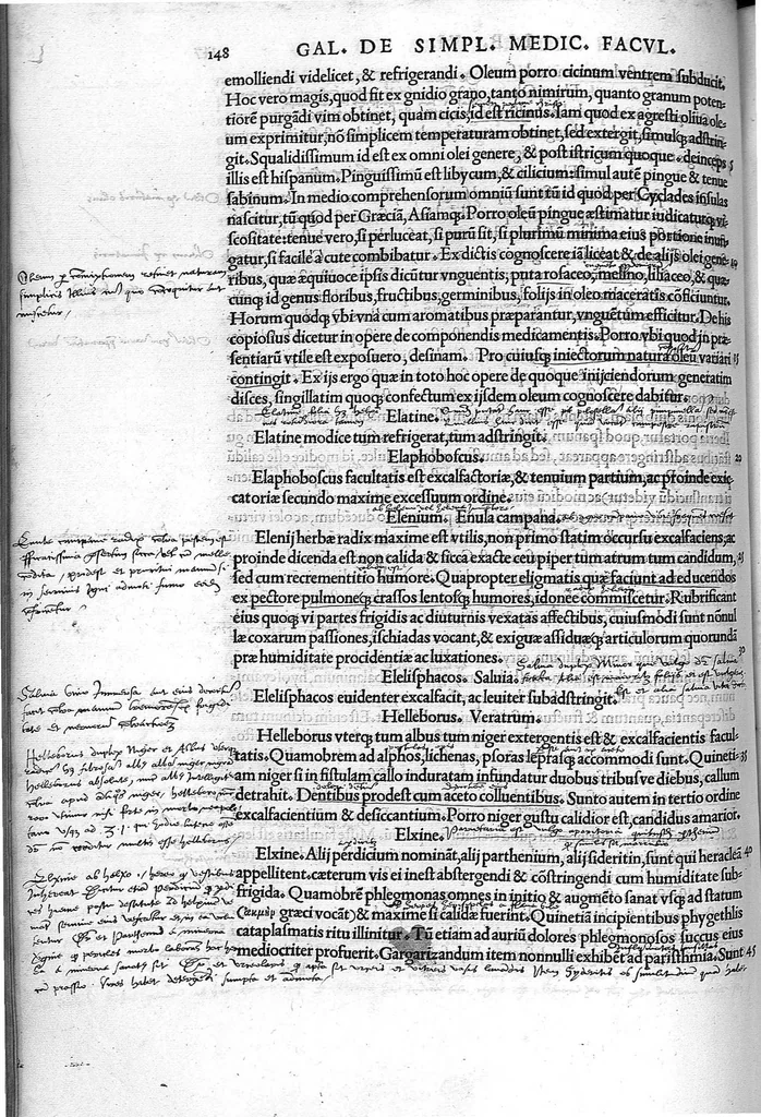An illustration from Claudio Galeni Pergameni de simplicium medicamentorum facultatibus libri undecim, Theodorico Gerardo Gaudano interprete, 1530, leaf 159