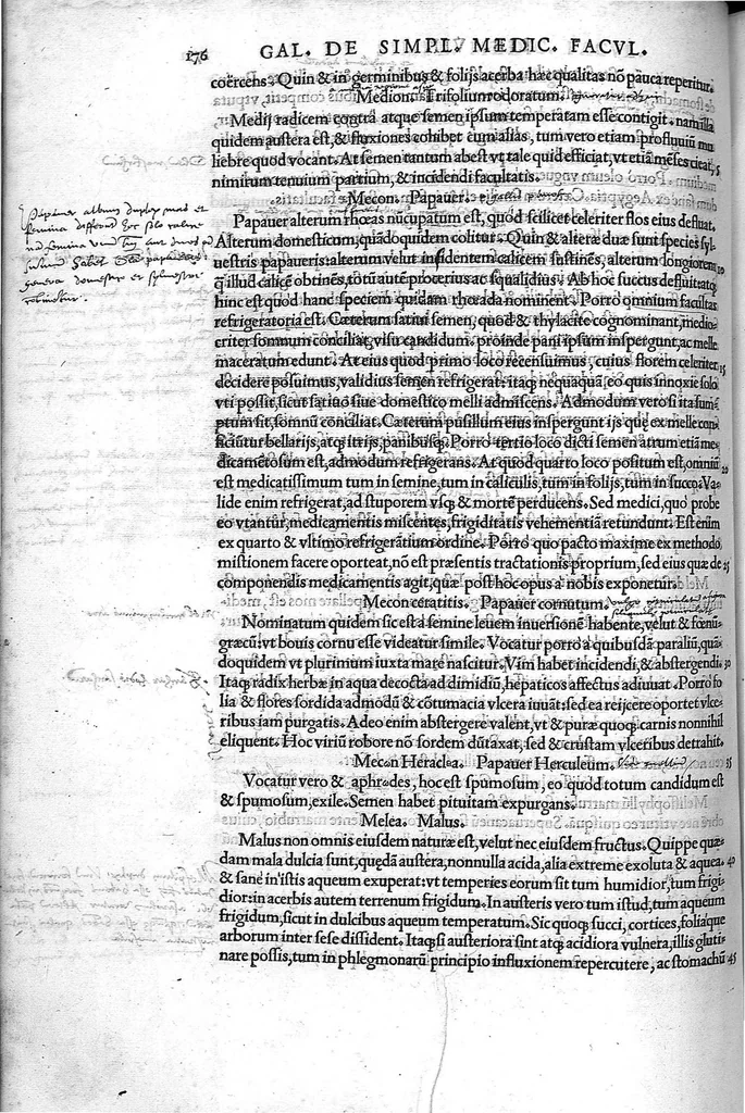 An illustration from Claudio Galeni Pergameni de simplicium medicamentorum facultatibus libri undecim, Theodorico Gerardo Gaudano interprete, 1530, leaf 187