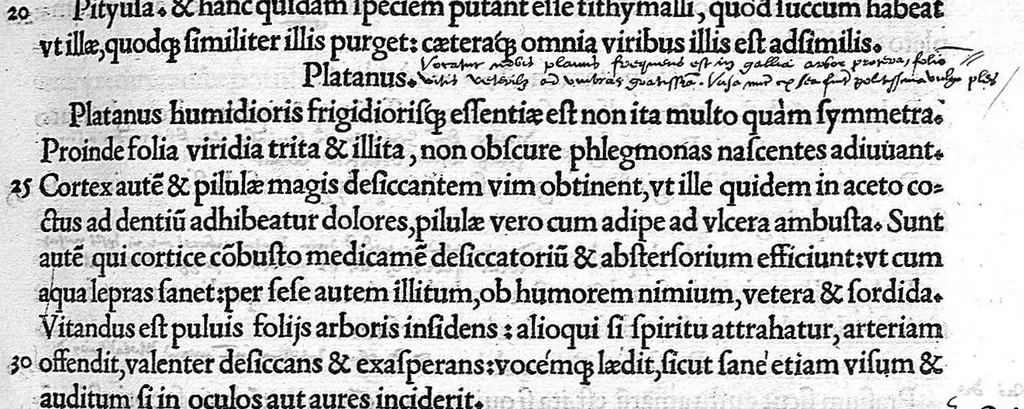 An illustration from Claudio Galeni Pergameni de simplicium medicamentorum facultatibus libri undecim, Theodorico Gerardo Gaudano interprete, 1530, leaf 196