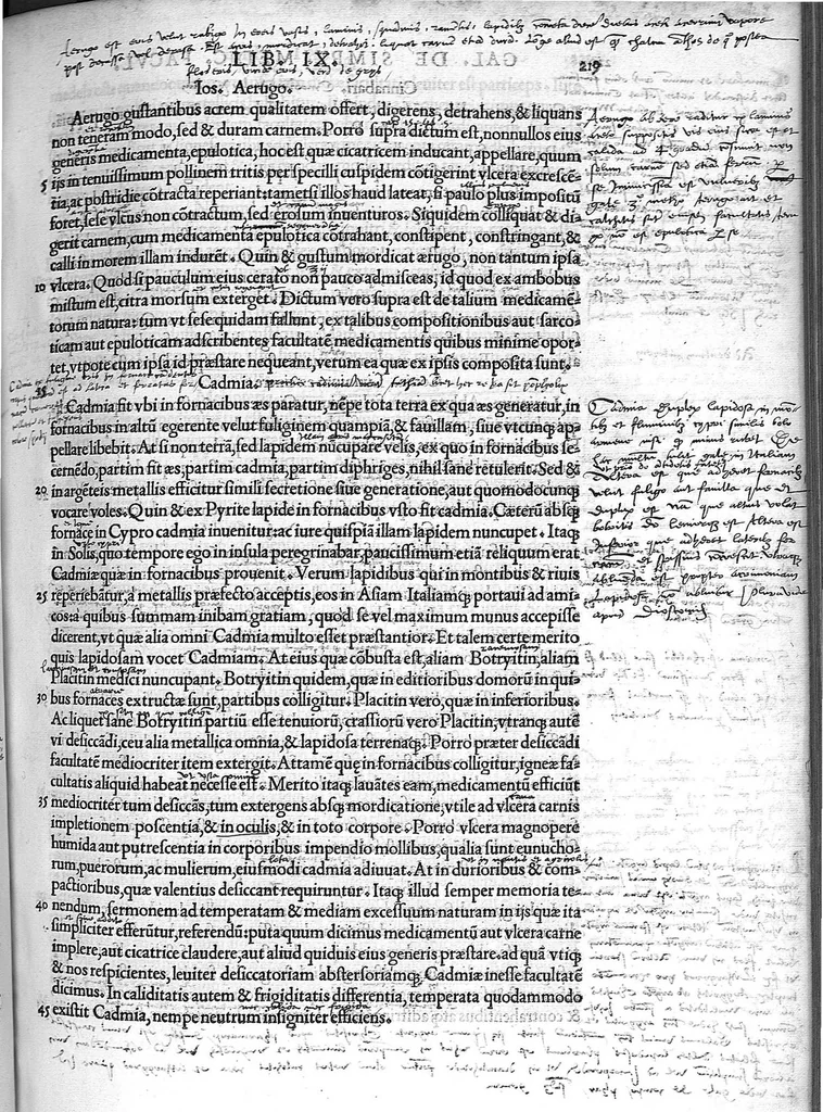 An illustration from Claudio Galeni Pergameni de simplicium medicamentorum facultatibus libri undecim, Theodorico Gerardo Gaudano interprete, 1530, leaf 230