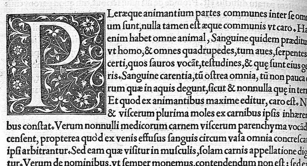 An illustration from Claudio Galeni Pergameni de simplicium medicamentorum facultatibus libri undecim, Theodorico Gerardo Gaudano interprete, 1530, leaf 257