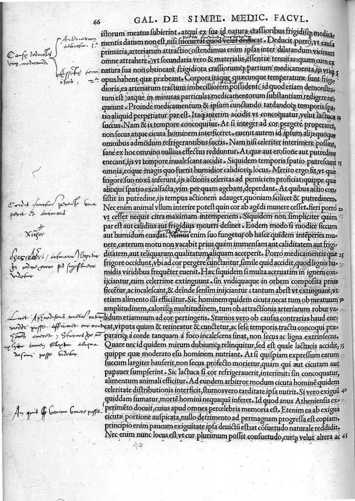 An illustration from Claudio Galeni Pergameni de simplicium medicamentorum facultatibus libri undecim, Theodorico Gerardo Gaudano interprete, 1530, leaf 77