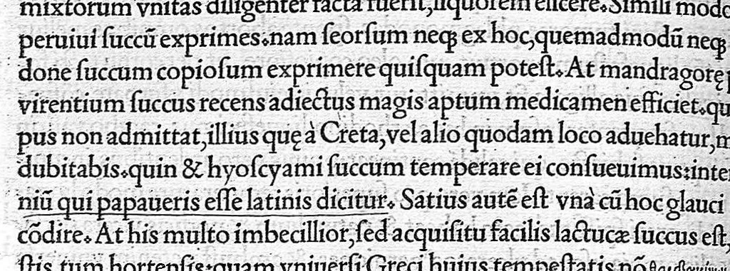 An illustration from C. Galeni De compositione medicamentorum kata gene, libri septem, Ioanne Guinterio interprete, 1530, leaf 35