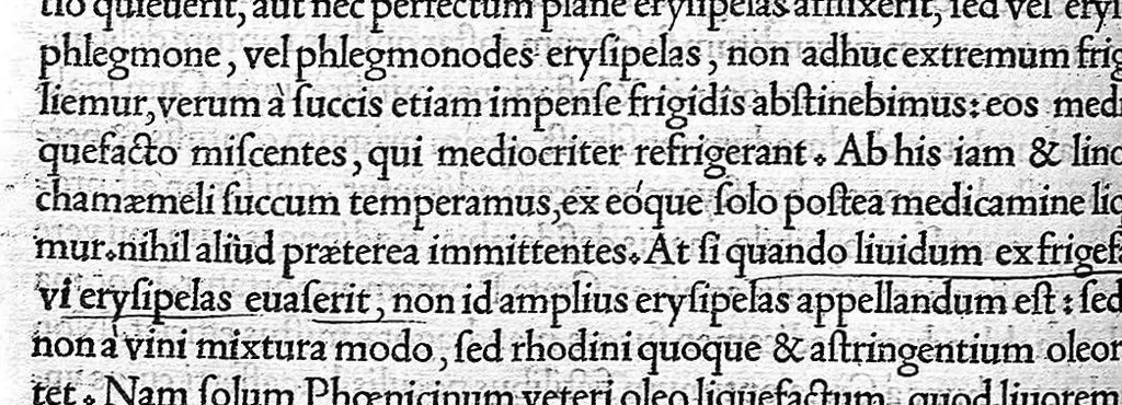 An illustration from C. Galeni De compositione medicamentorum kata gene, libri septem, Ioanne Guinterio interprete, 1530, leaf 35